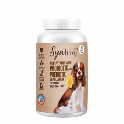 ผลิตภัณฑ์เสริมอาหารสุนัขสายพันธ์เล็ก Synbio7 (Small breed ≤ 10 KG)